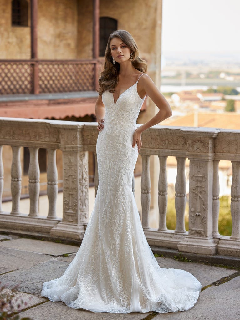 413905268_847210564070734_5737022745402462004_n